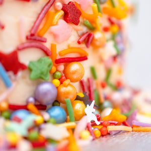 Rainbow Cake Sprinkles Close Up